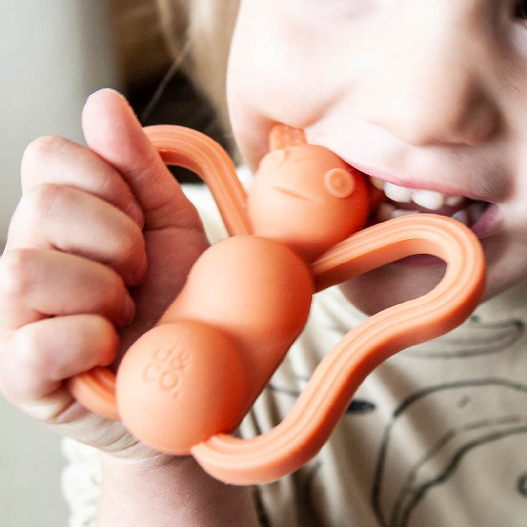 Doddle & Co Social Butterfly Baby Teether - Silicone Toy